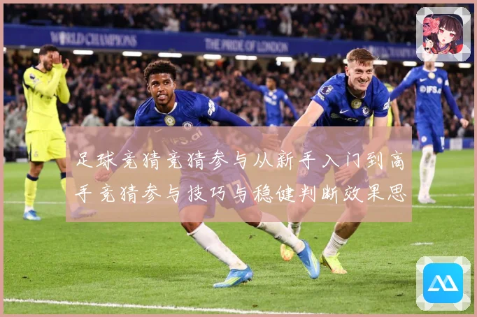 足球竞猜竞猜参与从新手入门到高手竞猜参与技巧与稳健判断效果思数据研判-深度解析