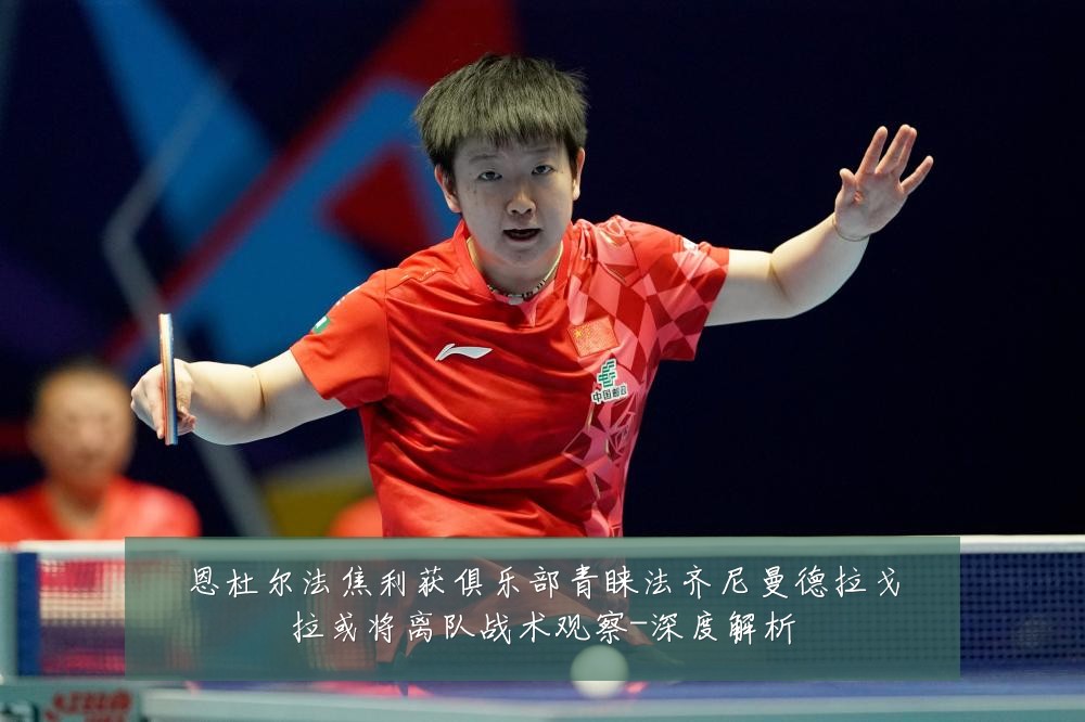 恩杜尔法焦利获俱乐部青睐法齐尼曼德拉戈拉或将离队战术观察-深度解析
